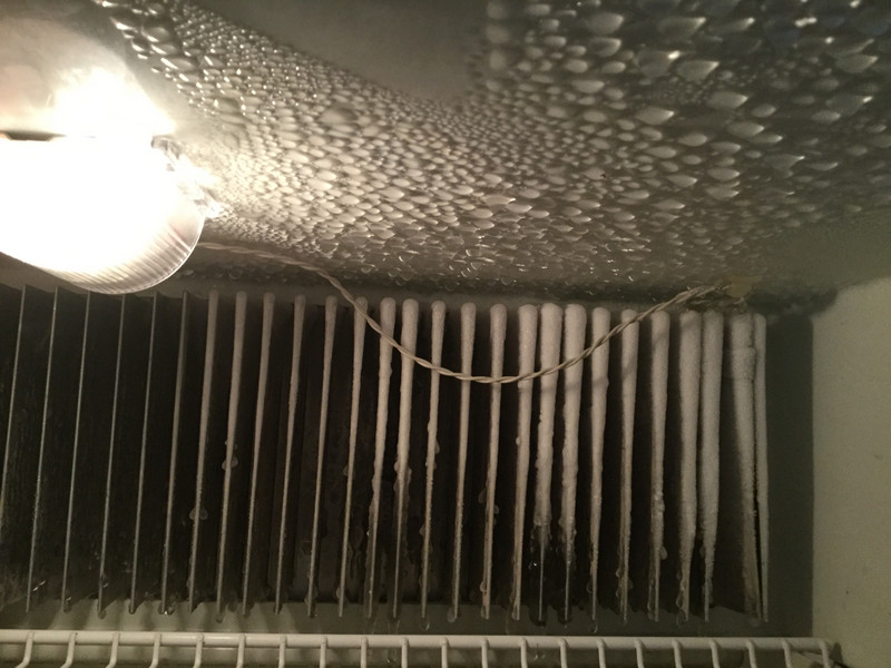 Inside our RV refrigerator 