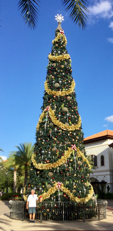 O’Christmas Tree....Disney Springs 