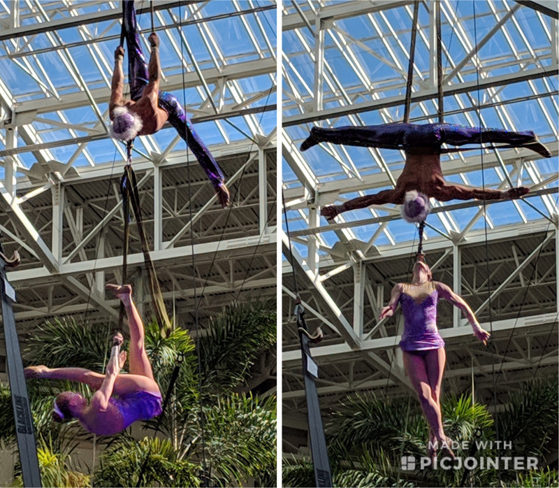 The aerialists