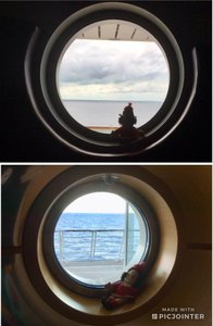 Lulu looks out the portholes