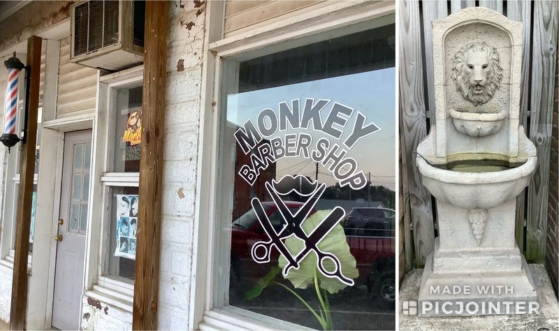 Monkey Barber Shop & Lion Fountain