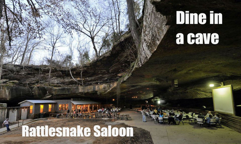 Rattlesnake Saloon 