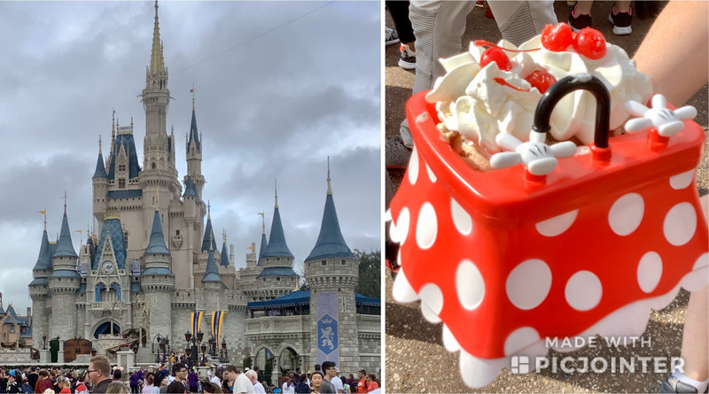 Cinderella’s Castle &. Huge Ice Cream Delight