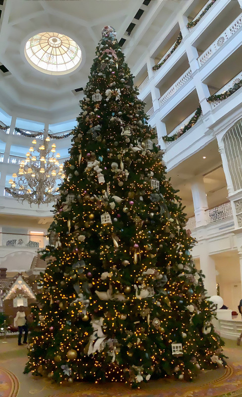 My panoramic photo of this beautiful Christmas Tree