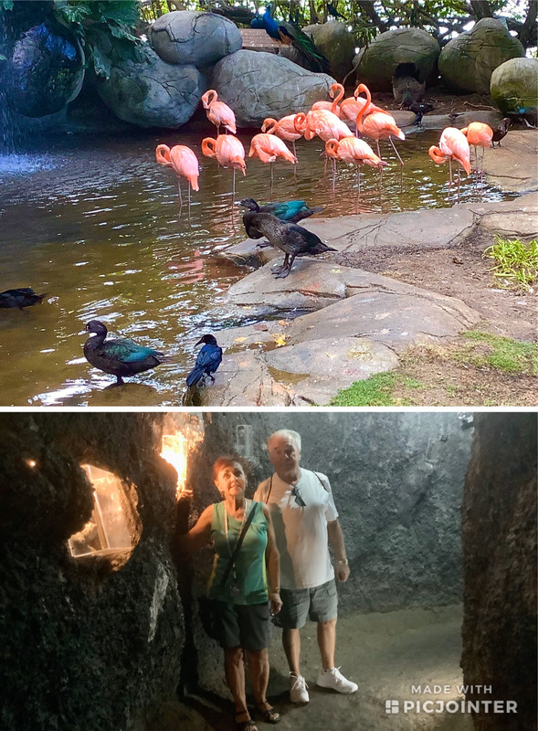 Flamingos - Cory & Sandy in Emerald cave