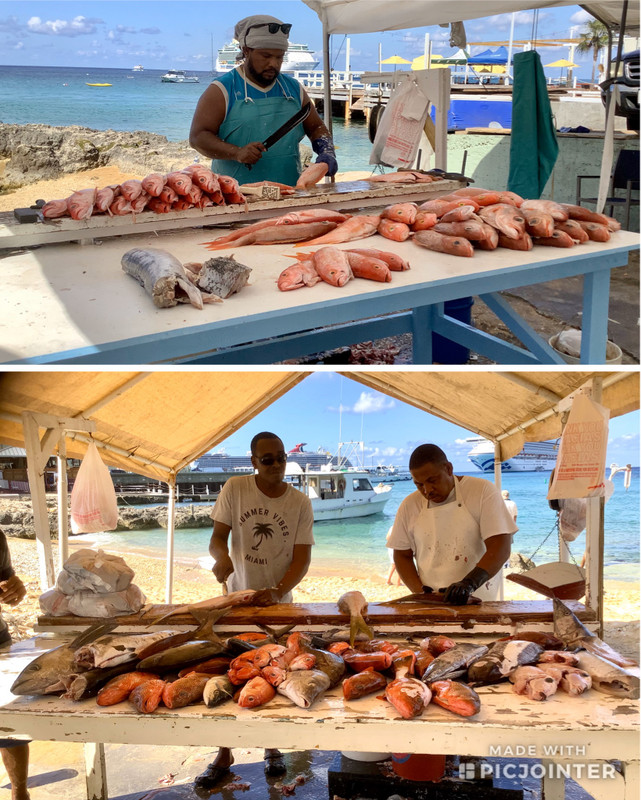 Open air fish market