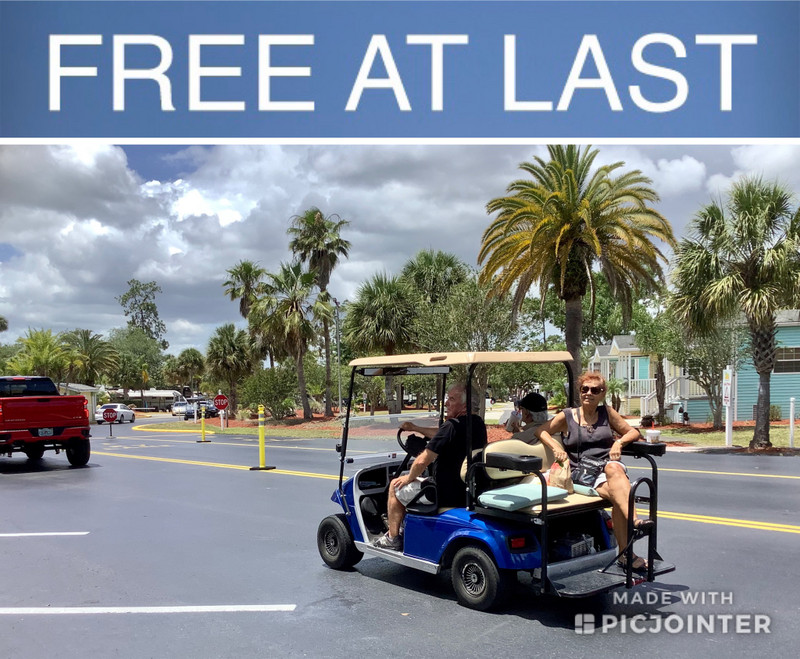 Released and back at Tropical Palms: FREE! 