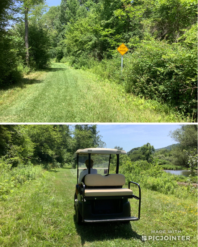 The WAG trail - Cory driving our golf cart 