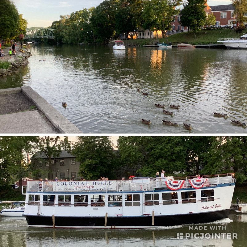 A tour boat and ducks on the canal 