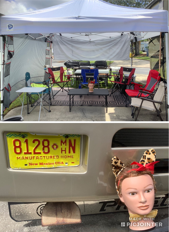 Inside our canopy. Our license plate & Lulu. 