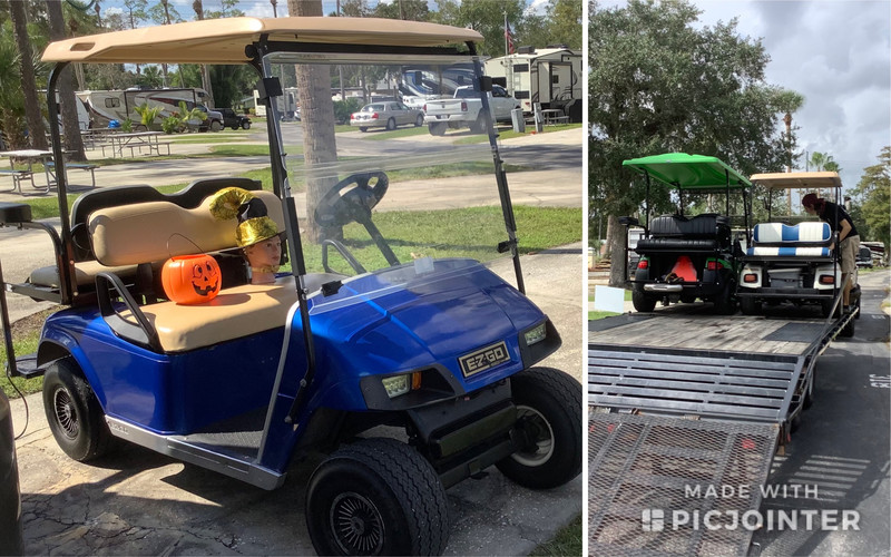 Lulu on our golf cart- Walt & Sonny’s golf carts