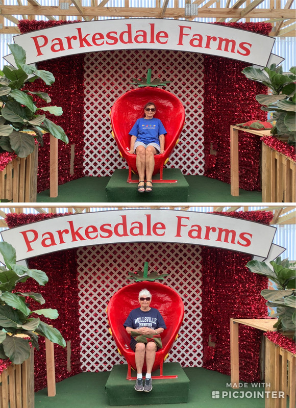 Sandy and I at Parksdale Strawberry Farms