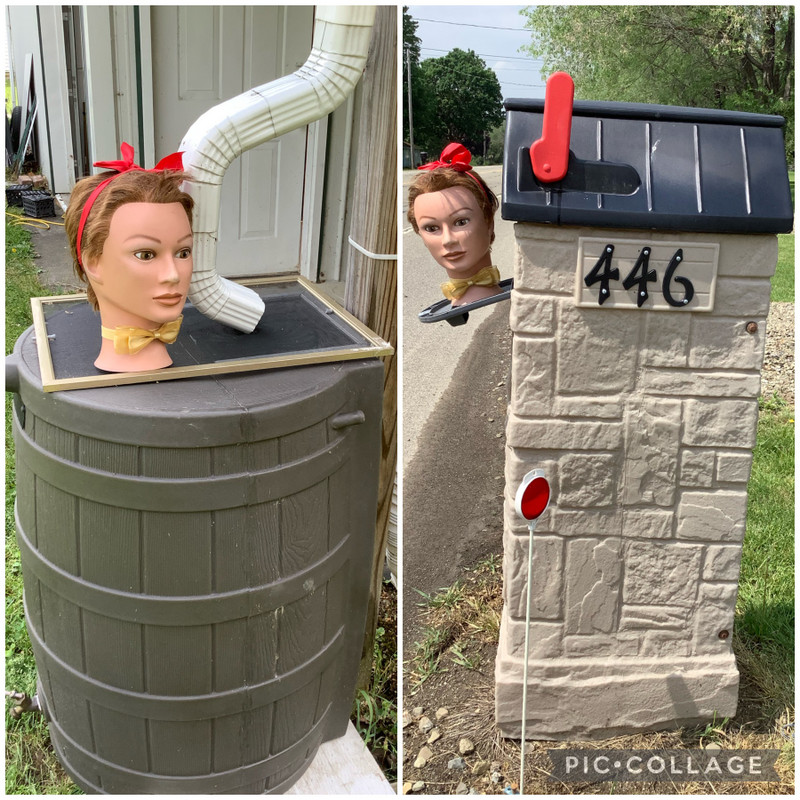 Our rain barrel and mailbox