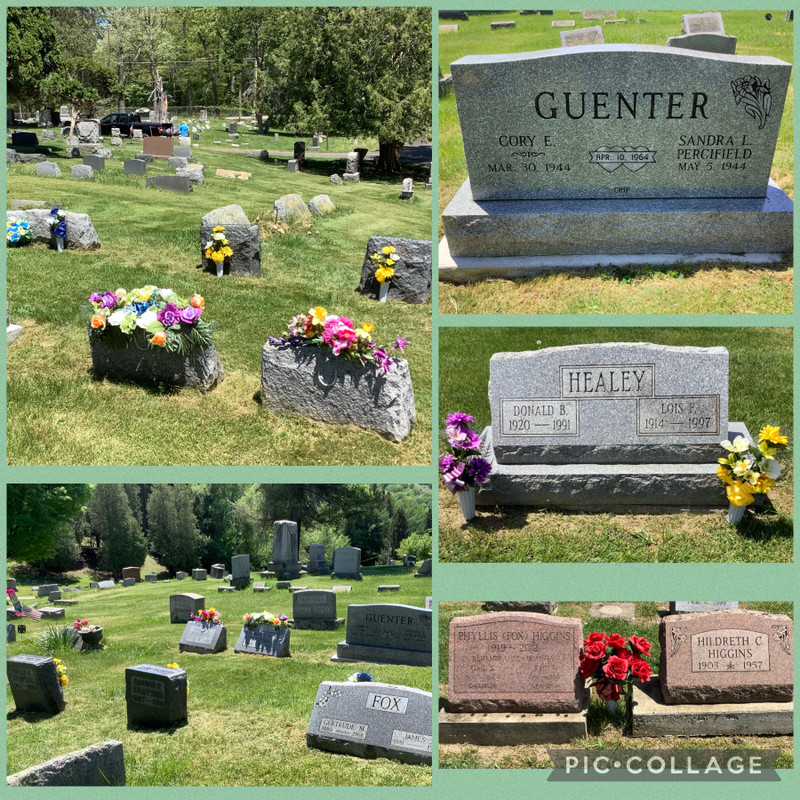 The family graves