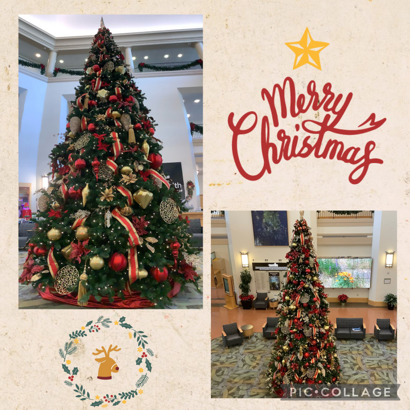 Hospital Lobby Christmas tree 