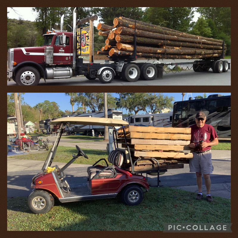 A logging truck. Dave & his logging golf cart! 