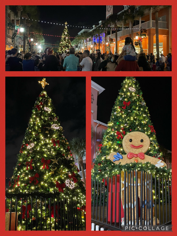 Celebration’s Main St. & Christmas tree 