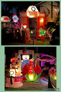 Tropical Palms Christmas Displays