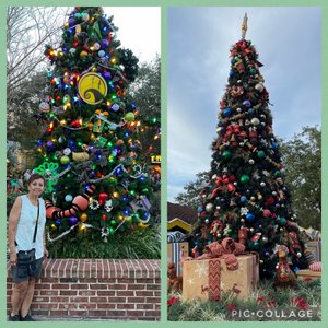 Sandy & 2 Disney Springs Christmas trees 
