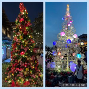 Disney Springs Christmas trees & Sandy 