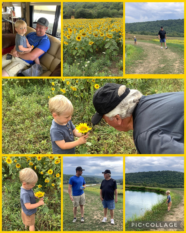 At Ryan’s pond and sunflower patch. Cute HENRY! 