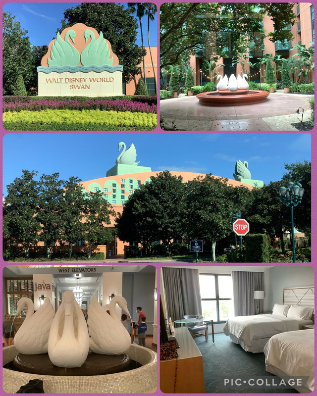 Disney’s Swan Hotel….comfy beds! 