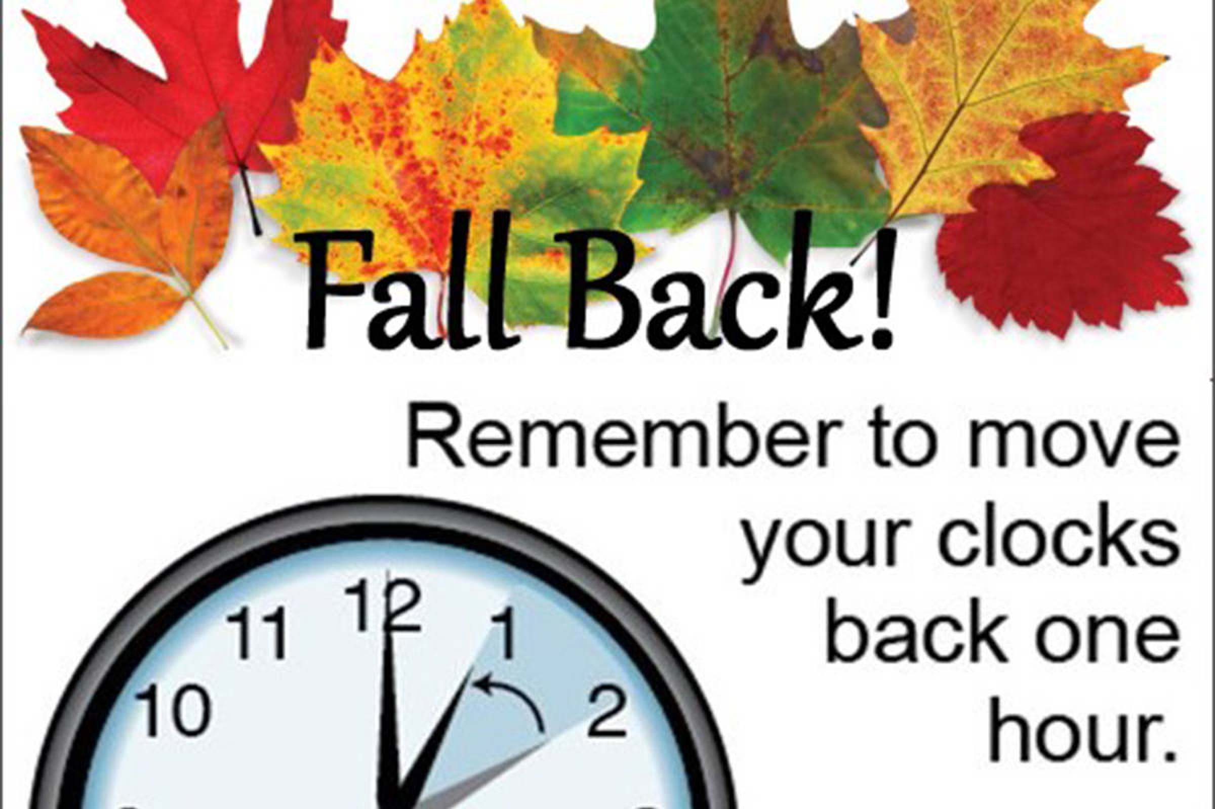 Fall Back Time Change Sign