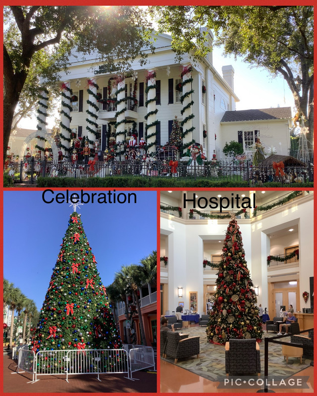 Celebration decorations & tree + hospital tree