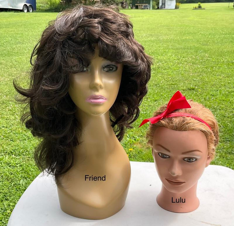 Lovely Lulu and her fashionista friend. 