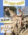 Joe riding a giraffe….