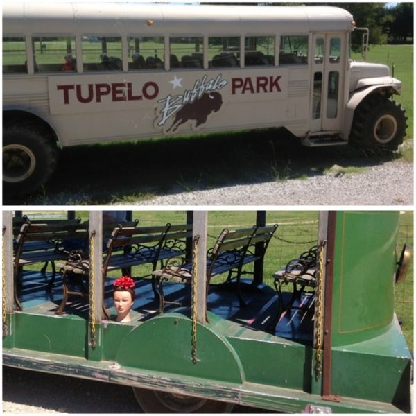 Tupelo Buffalo Park