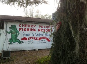 Welcome to Cherry Pocket