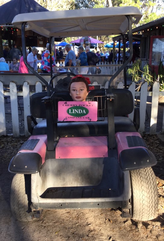 Lulu rides Linda's golf cart 