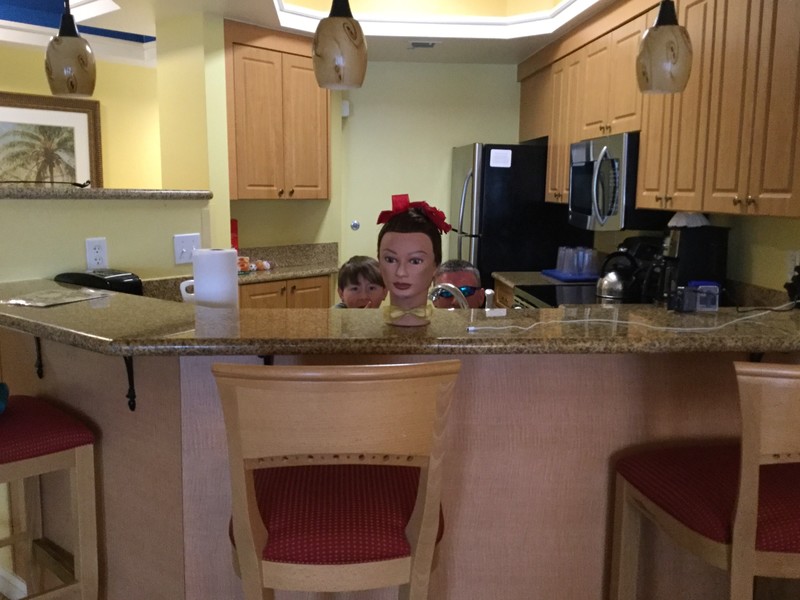Lulu watches from condo kitchen