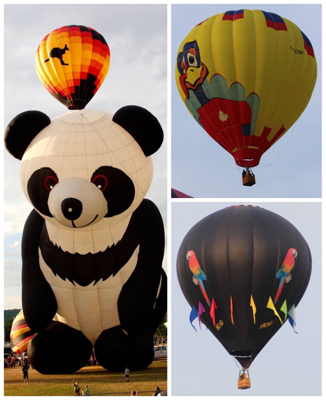 Panda Bear Balloon