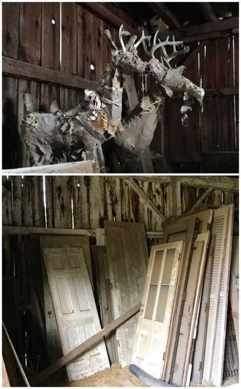 Deer inside barn