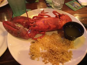 My lobster at the Ale House