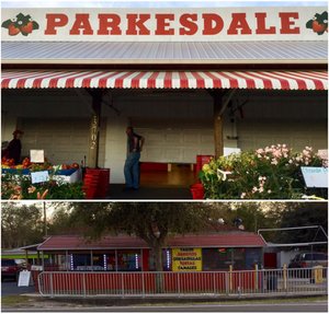 Parksdale 
