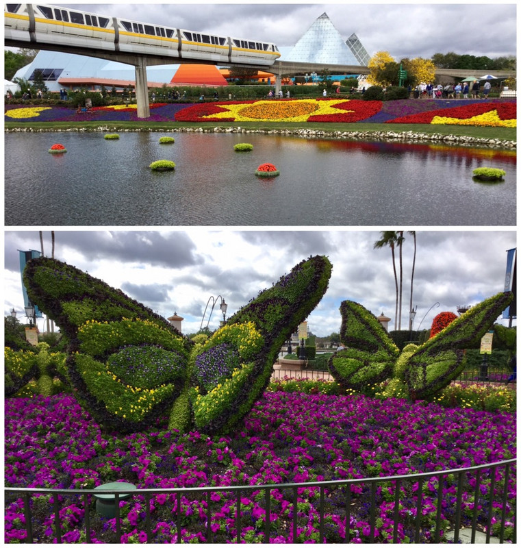 Monorail & Flowers