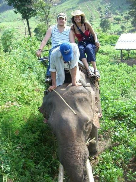 More elephant trek!
