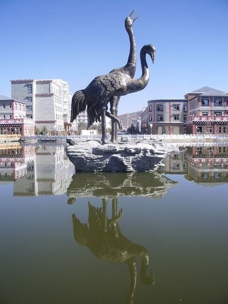 Cranes, Zhongdian New City