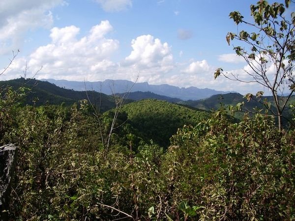 Forests of Northern Laos