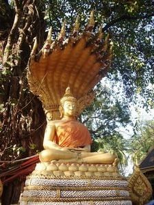 9 Naga Buddha