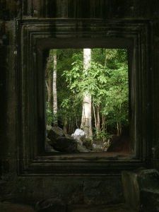 Forest Frame