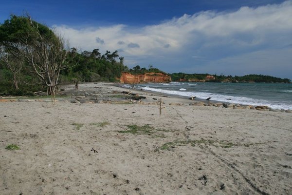 Beach near Bengkulu