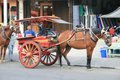 Traditional Transport, Bukit Tinggi