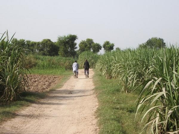 Punjabi paths