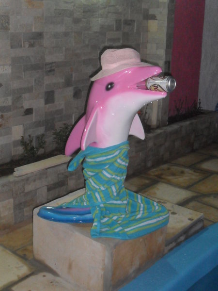 der "glückliche Delfin" blieb nicht verschont