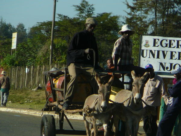 Men with Donkey Cart
