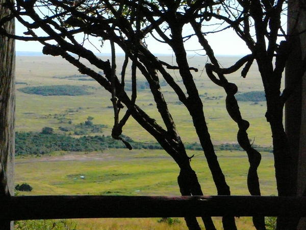 2 Mara Serena Lodge -Masai Mara